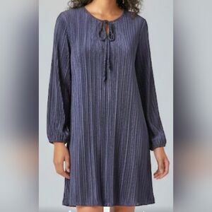 Wrapper Color Blue Sheer Pleated Dress‎ Size Medium NWT
